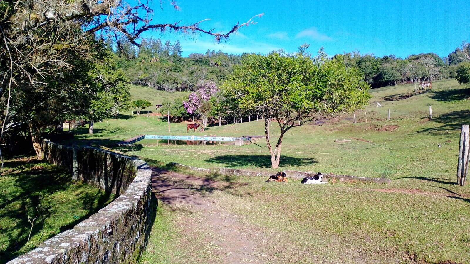 Sítio, 4 quartos, 18 m² - Foto 9