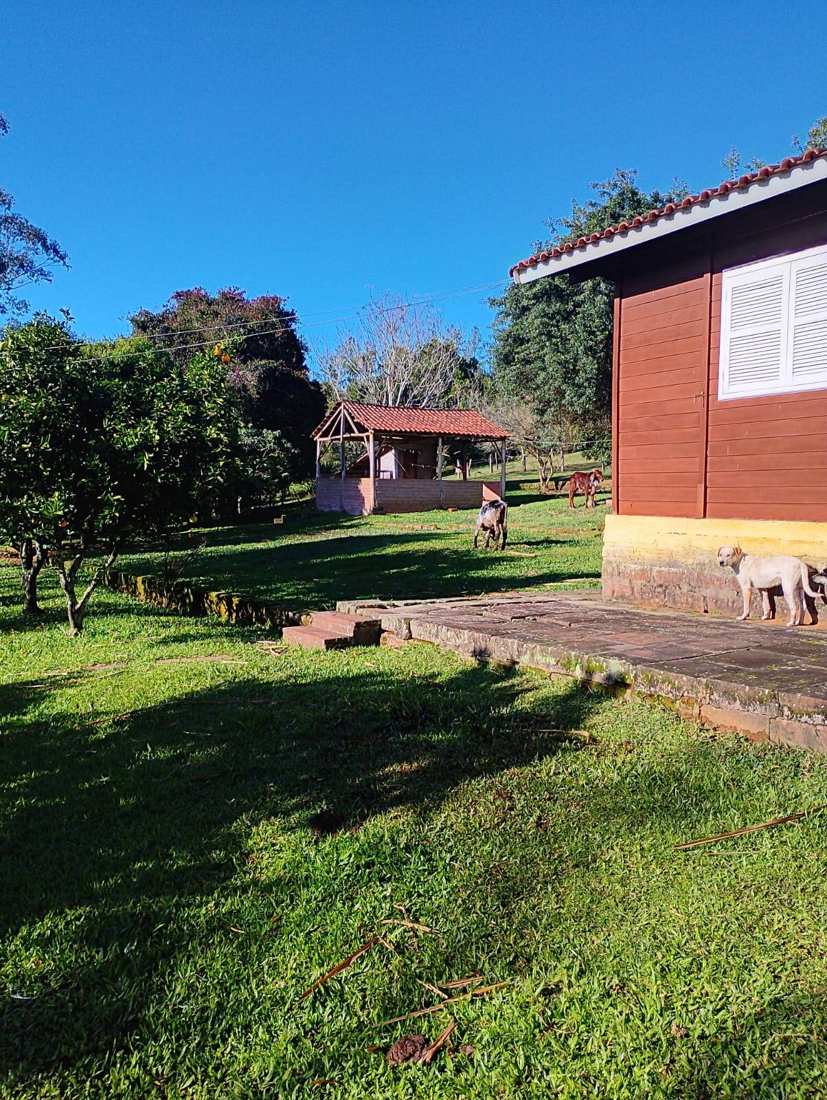 Sítio, 4 quartos, 18 m² - Foto 3