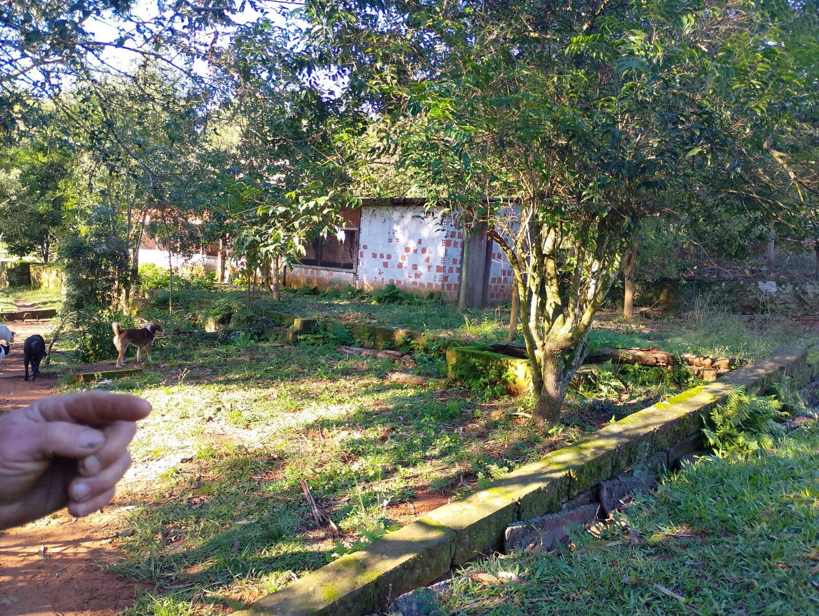 Sítio, 4 quartos, 18 m² - Foto 10