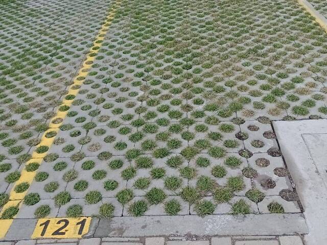 Apartamento para Venda em Porto Alegre - 4